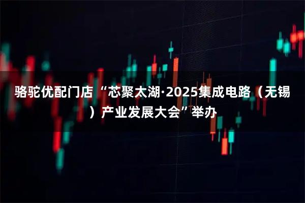 骆驼优配门店 “芯聚太湖·2025集成电路（无锡）产业发展大会”举办