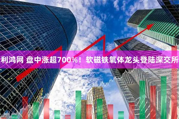 利鸿网 盘中涨超700%！软磁铁氧体龙头登陆深交所